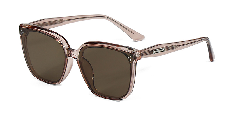 58249 Square Metal Strip Decoration TR90 Polarized  Sunglasses With Acetate Temple