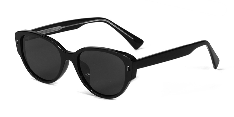 58256 Cat-Eye Style TR90 Polarized Sunglasses With Acetate Temple And Metal Fittings