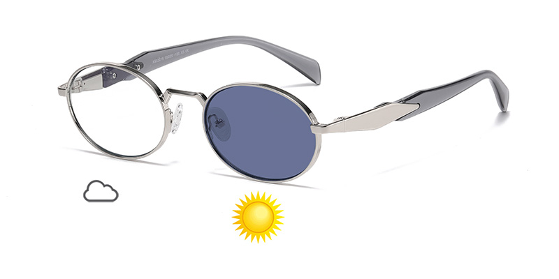 Oval Frame Retro Color-Changing TR Leg Metal Sunglasses