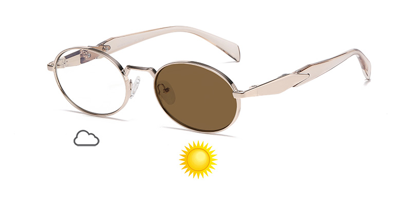 Oval Frame Retro Color-Changing TR Leg Metal Sunglasses